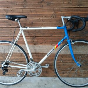 Raleigh Néo rétro - VENDU